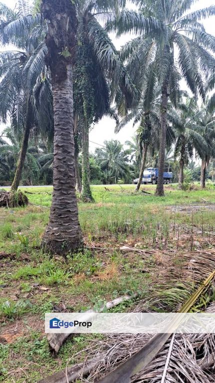 Malaysia Selangor 🎈Kuala Langat 📌Jenjarom, Seri Cheeding 📌4 Acres Zoning Industry Land for Sale 📌 Beside Main Tar Road, Selangor, Jenjarom