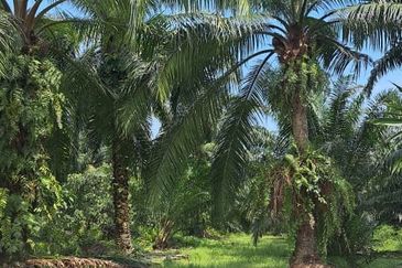 Telok Panglima Garang Industrial Zone