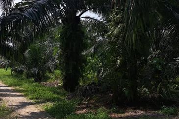 Telok Panglima Garang Industrial Zone