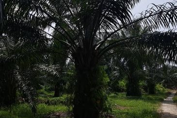 Telok Panglima Garang Industrial Zone