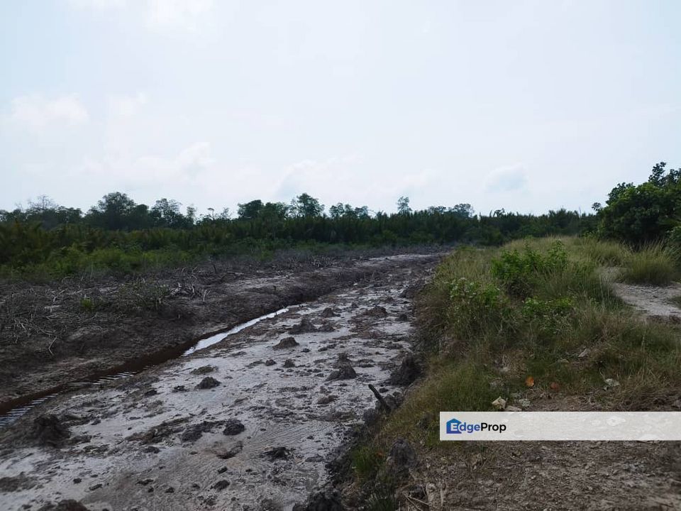 Malaysia Selangor 💥 Pulau Carey, Kuala Langat  💥 400 Acres  Zoning Industrial  Land For Sale🌈 🥰Beside Sea, Melacca Strait 马六甲海峡, Selangor, Kuala Langat