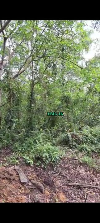 Malaysia Selangor 🎈Klang Meru 6.5 miles 🎈9 Acres Agriculture Land For Sale  🎈Zoning Residential, Selangor, Klang