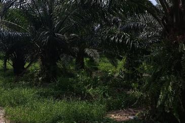 Kawasan Perusahaan Telok Mengkuang