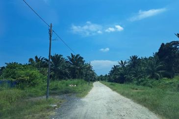 Kawasan Perusahaan Telok Mengkuang
