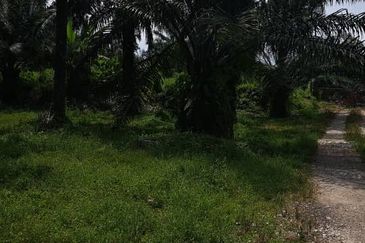 Kawasan Perusahaan Telok Mengkuang