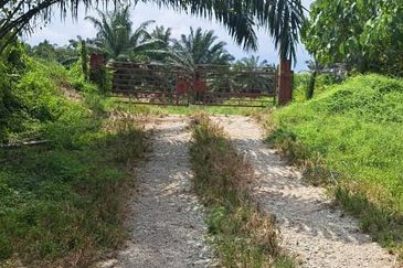 Kawasan Perusahaan Telok Mengkuang