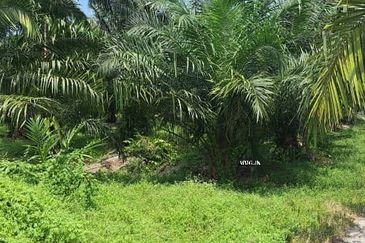 Kawasan Perusahaan Telok Mengkuang