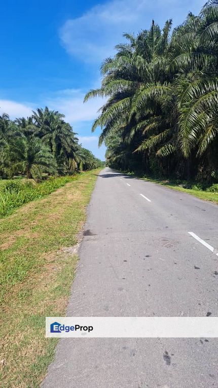 Malaysia Selangor 📌 Batu Laut, Kuala Langat 📌 * 4 acres Flat Land For Sale  📌Beside Tar Road, Selangor, Banting