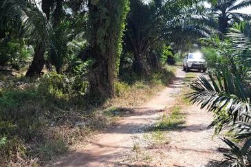 Telok Panglima Garang Industrial Zone
