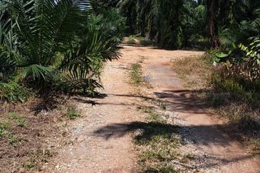 Telok Panglima Garang Industrial Zone