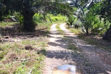 Telok Panglima Garang Industrial Zone