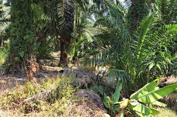 Telok Panglima Garang Industrial Zone