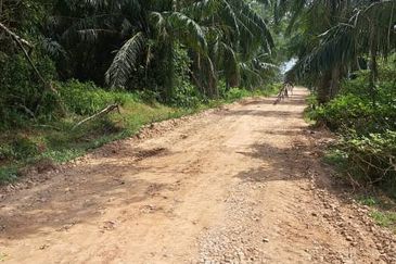 Malaysia Selangor 📌Kuala Selangor, Jeram Batu 16, 📌12 Acres Agriculture (Zoning Industry) Land for Sale 📌 Beside Big red soil road