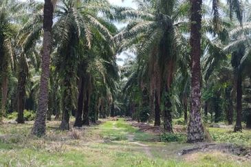 Telok Panglima Garang Industrial Zone