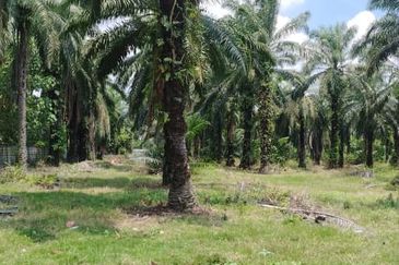 Telok Panglima Garang Industrial Zone