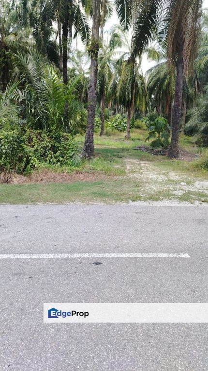 Malaysia Selangor  Kuala Langat, Banting  📌Olak Lempit Industrial Area 📌2 Acres Zoning Heavy Industrial Land for Sale 📌Beside Tar Road go to Top Gl, Selangor, Banting