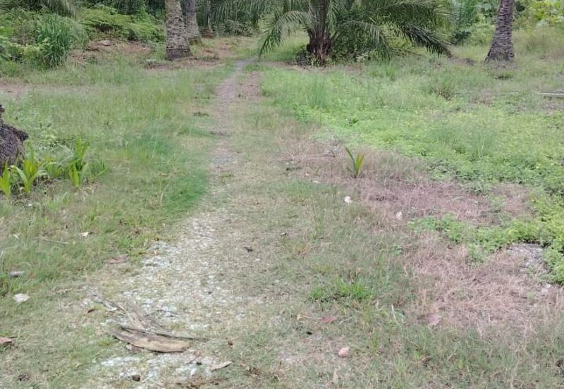 Kawasan Perindustrian Olak Lempit