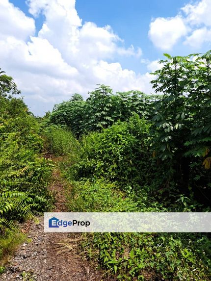 Malaysia Selangor 💥📌 Johan Setia Klang 💥📌1 Acre Agriculture Land for Sale 📌2nd Tier Land (BUMI LOT), Selangor, Klang