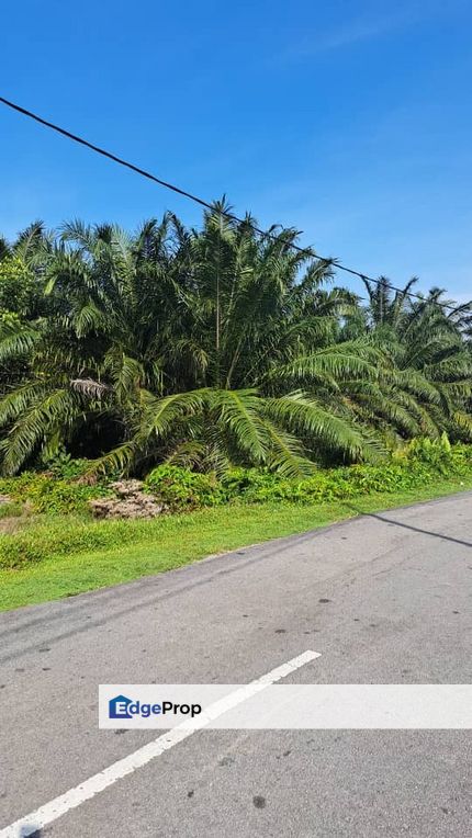 Malaysia Selangor  Kuala Langat 📌* Batu Laut, Tanjung Sepat,   📌 * 1.83 acres Flat Land For Sale  📌Beside Tar Road, Selangor, Banting