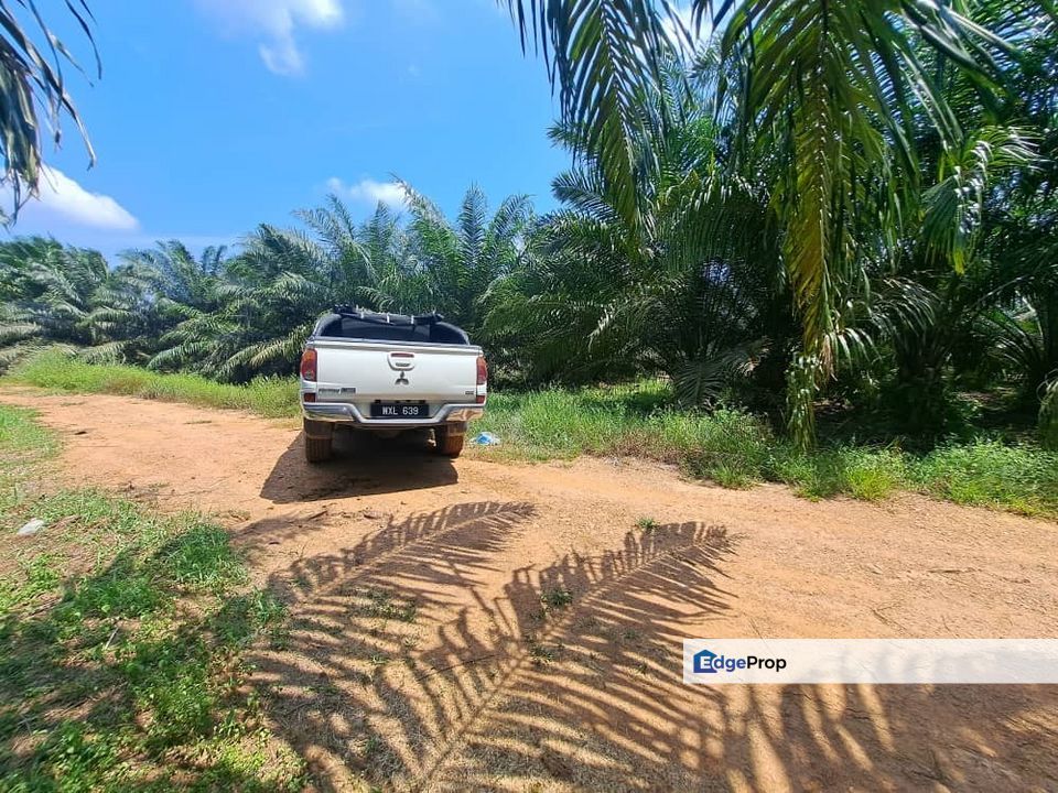 Malaysia Selangor 📌 Banting  📌 Kelanang 📌 * 1.931 acres Flat Land For Sale  📌 ( Near Banting Town and Morib ), Selangor, Banting