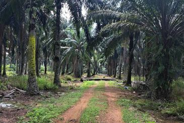 Sungai Sedu @ Tanjung Dua Belas