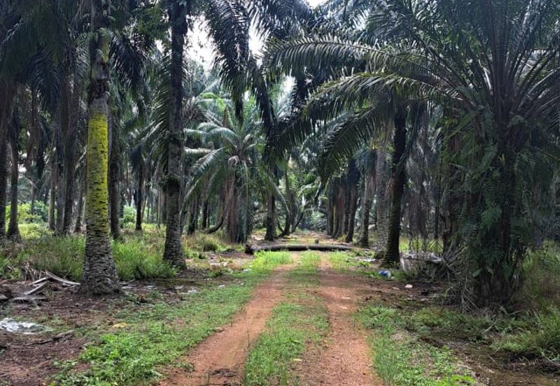 Sungai Sedu @ Tanjung Dua Belas
