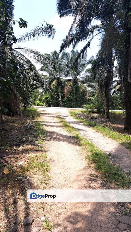 Malaysia Selangor  Kuala Langat 📌 Bukit Perah* Tanjung Dua Belas ,  📌 * 4.63 acres Flat Land For Sale  📌Beside WCE Highway , Selangor, Banting