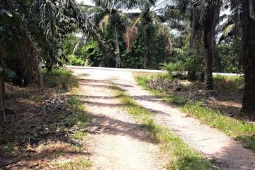 Sungai Sedu @ Tanjung Dua Belas