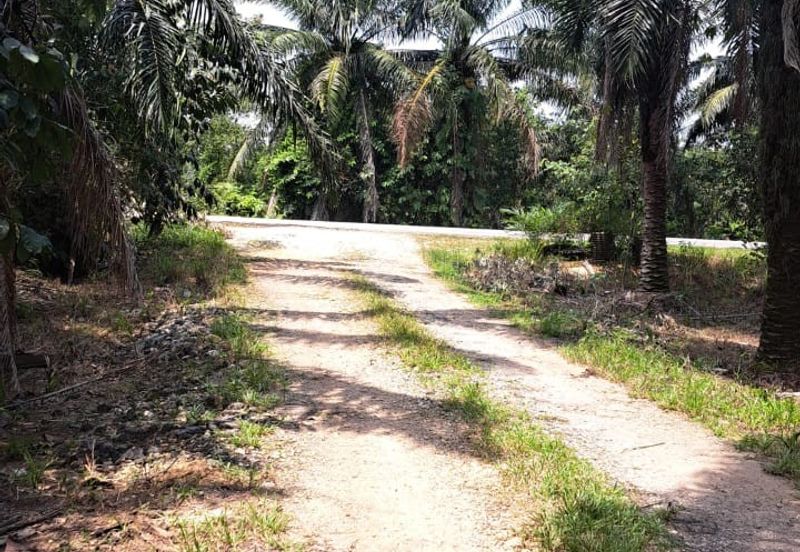 Sungai Sedu @ Tanjung Dua Belas