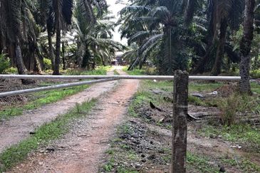 Sungai Sedu @ Tanjung Dua Belas