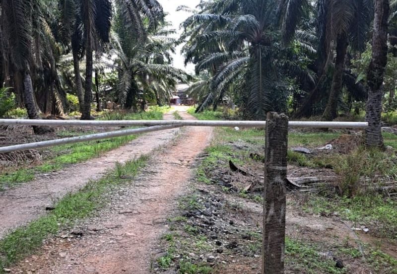 Sungai Sedu @ Tanjung Dua Belas