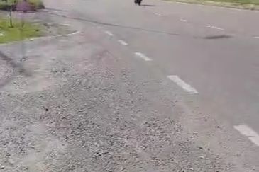 Telok Panglima Garang Industrial Zone