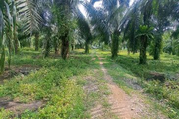 Jalan Kampung Bukit Jeram