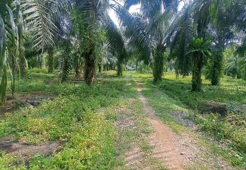 Jalan Kampung Bukit Jeram