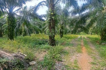 Jalan Kampung Bukit Jeram