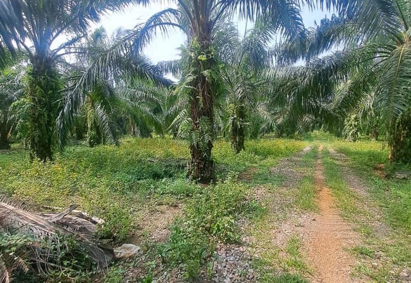 Jalan Kampung Bukit Jeram