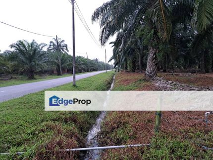 Malaysia Selangor Kelanang, Banting  📌 10 acres Land For Sale  📌 Near Pantai Morib And Banting Town, Selangor, Banting