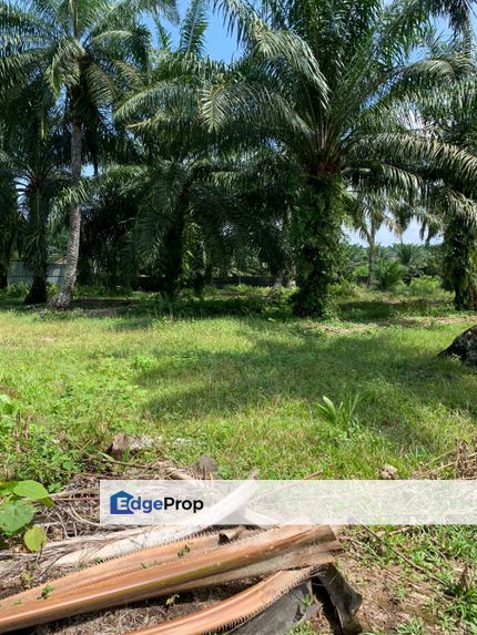 Malaysia Selangor Land For Sale  📌* Tanjong Sepat 📌 * 2 acres Flat Land For Sale  📌 * Beside Tar Road , Selangor, Banting