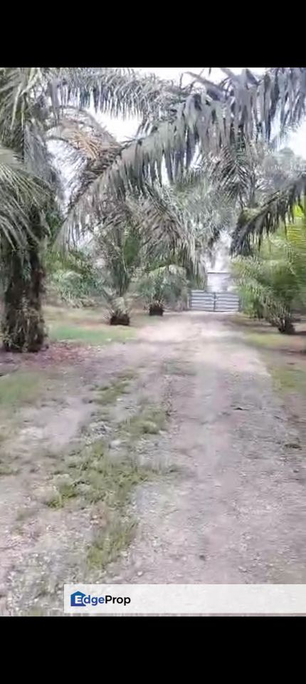 Malaysia Selangor  📌* Batu Laut 📌 * 4.825 acres Flat Land For Sale  📌Beside Stone Road, Selangor, Banting