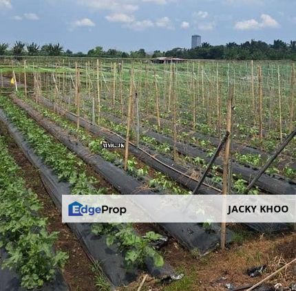 Malaysia Selangor 📌 Johan Setia Klang 📌1 Acre Agriculture Land for Sale 📌Beside Reserved Road , Selangor, Klang