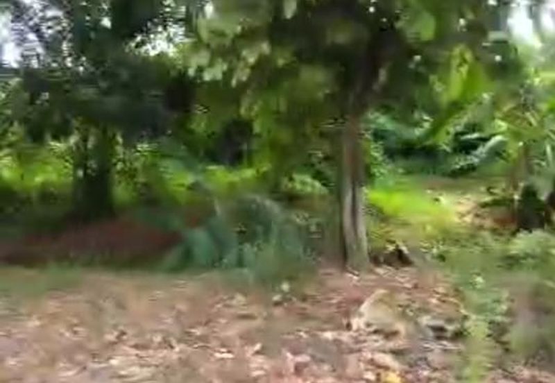 Kawasan Perindustrian Klang Utama