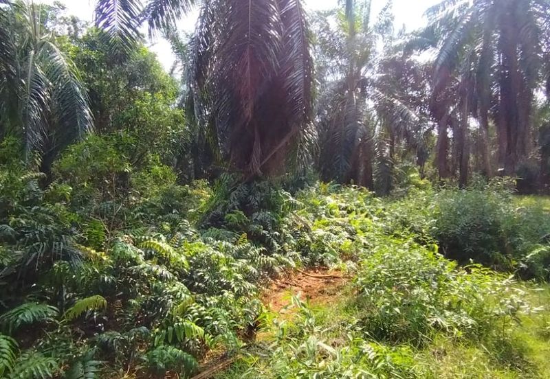 Jalan Kampung Bukit Jeram