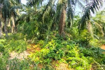 Jalan Kampung Bukit Jeram