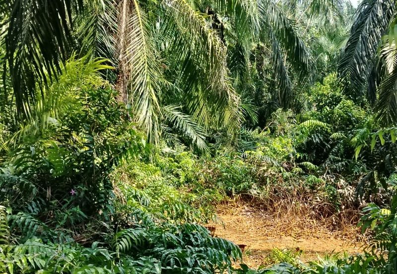 Jalan Kampung Bukit Jeram