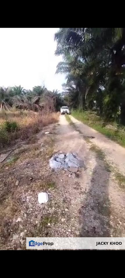 Malaysia  📌Selangor,  Kuala Langat Land 📌Bukit Perah Land 📌 2.5 Acres Flat Land for Sale 📌 Beside Big reserve road , Selangor, Jenjarom