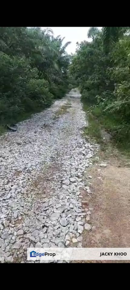 Malaysia Selangor  Kuala Langat,  Banting  📌* Batu Laut, Morib  📌 * 5 acres Flat Land For Sale  📌Beside Stone Road, Selangor, Banting