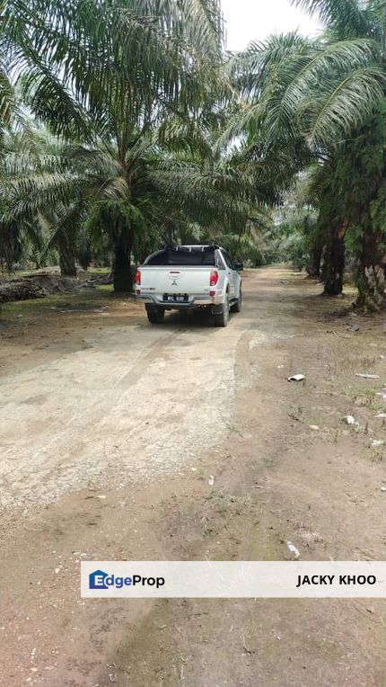 Malaysia Selangor Kuala Langat 📌Jenjarom  📌2.12 Acres Zoning Industrial Land for Sale  📌Beside Stone Road  📌Near Jenjarom Town 📌100 Meter reach T, Selangor, Jenjarom