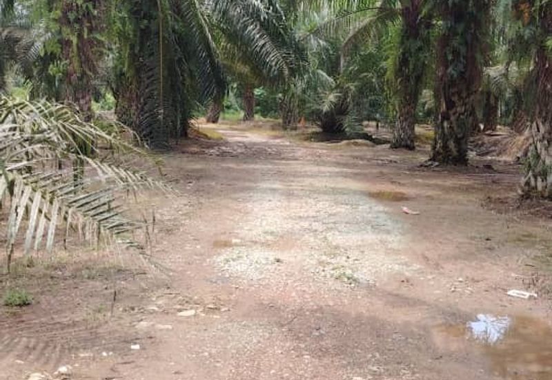 Kampung Jenjarom