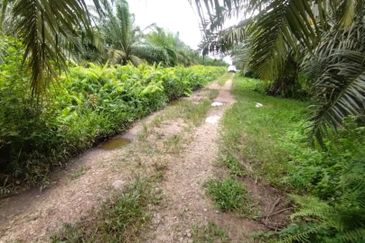 Malaysia Selangor  Kuala Langat  📌* Batu Laut, Banting  📌 * 2.2 acres corner Flat Land For Sale  📌Beside Small stone Road / Reserve Road