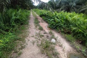 Malaysia Selangor  Kuala Langat  📌* Batu Laut, Banting  📌 * 2.2 acres corner Flat Land For Sale  📌Beside Small stone Road / Reserve Road